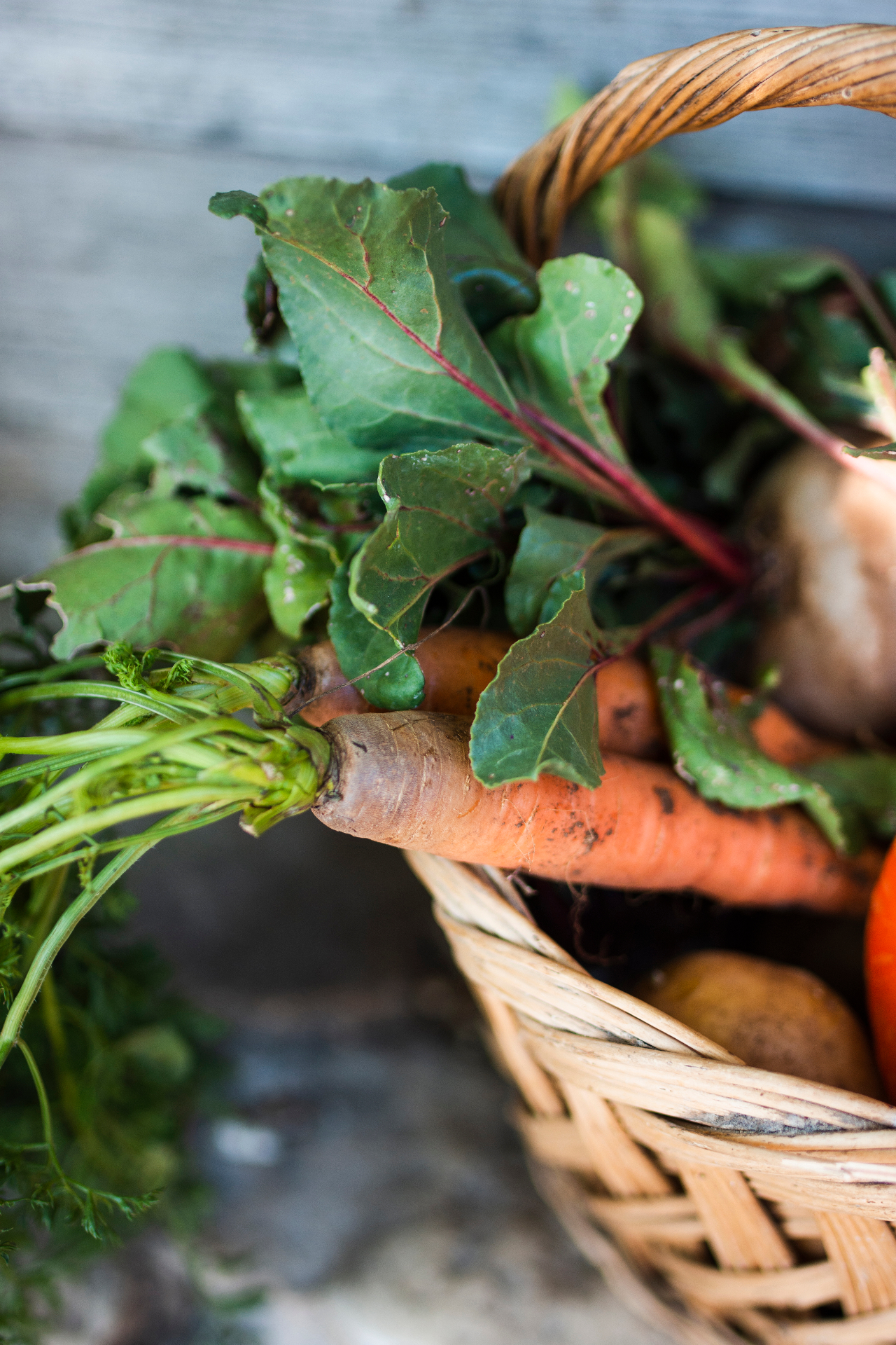 Cesto di carote, barbabietole e verdure biologiche di stagione